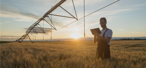 Agritech Software Development - Lemberg Solutions - Page Banner - Large.jpg