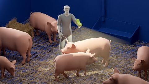 Barkom Pigs - Overview - Lemberg Solutions.jpg