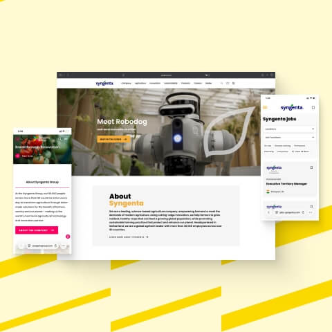 Enhancing Syngenta’s global digital presence with custom enterprise websites - Overview image - Lemberg Solutions