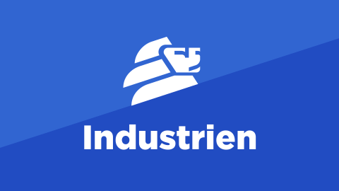 Industrien - Lemberg Solutions - Meta Image