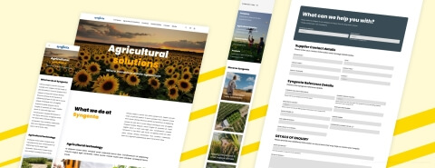 Syngenta - bottom image - Lemberg Solutions.jpg