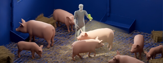 Barkom Pigs - bottom image - Lemberg Solutions.jpg