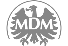 MDM - website logo - Lemberg Solutions