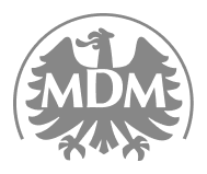 MDM - Case study - Lemberg Solutions MDM - Case study - Lemberg Solutions